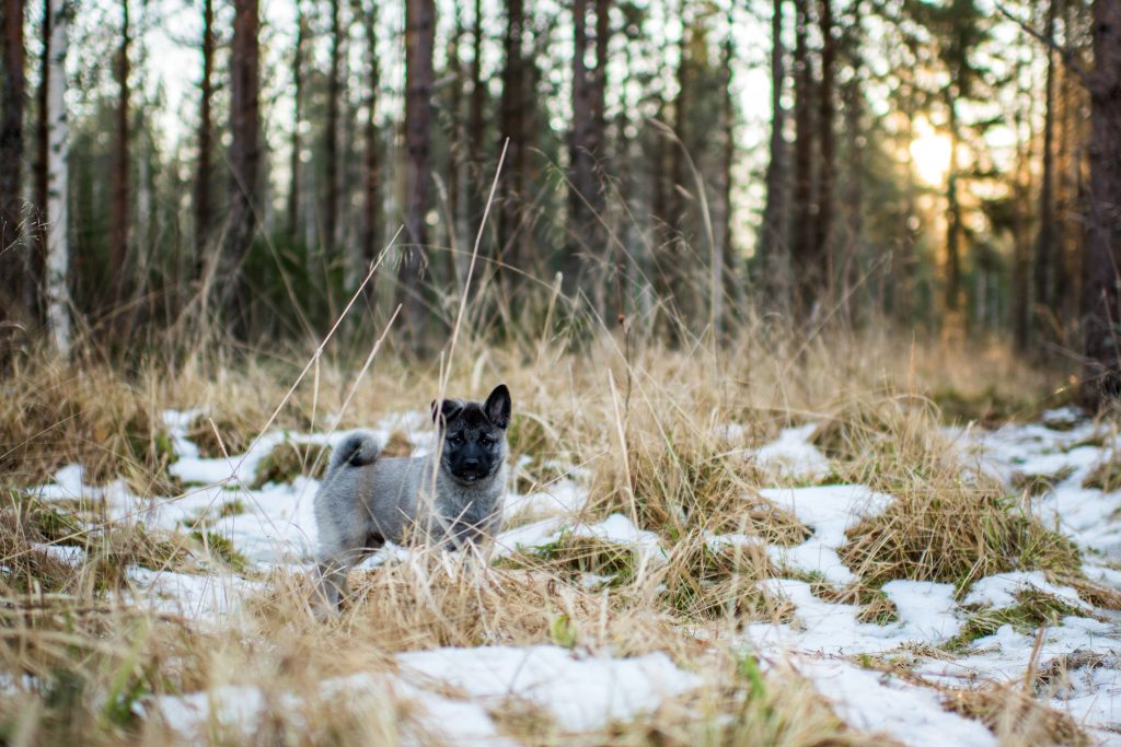 Valokuvaaja: Sanna-Kaisa Mäkelä